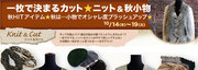 1枚で決まるカット★ニット＆秋小物