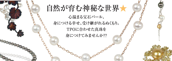 20110111902_01.jpg