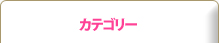 カテゴリ