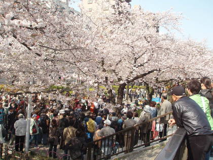 墨田公園.jpg