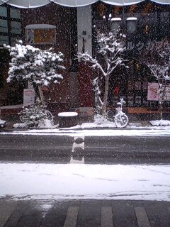 100327_1303~0001.jpg