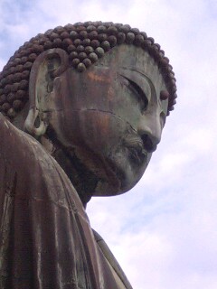 1220-5PA0_0141.JPG