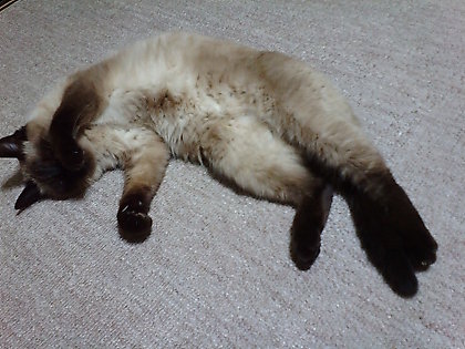 20091113234253.jpg