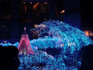 20091215181120.jpg