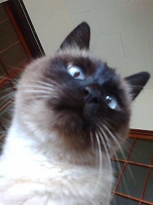 2010.1.5.jpg