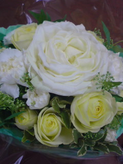 20100325095351.jpg
