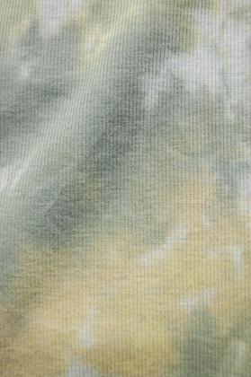 20100331 003.jpg