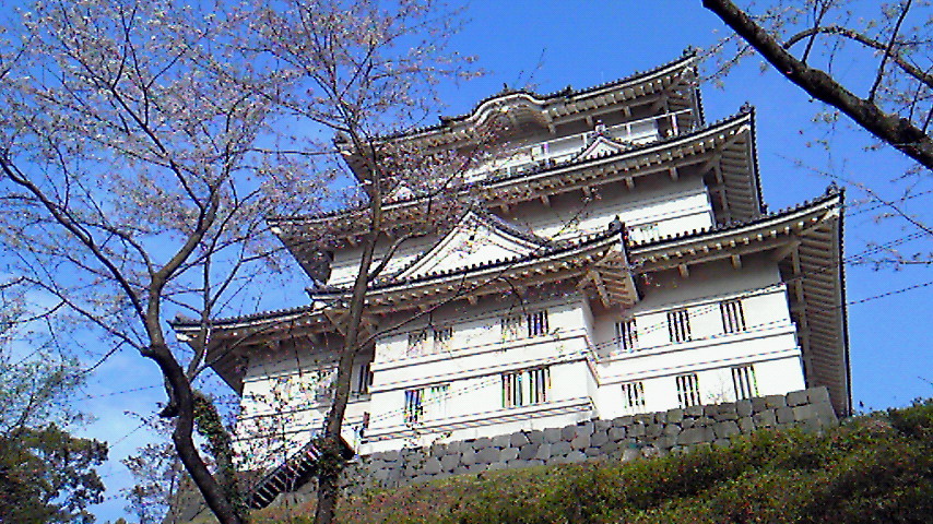 201004061537000.jpg