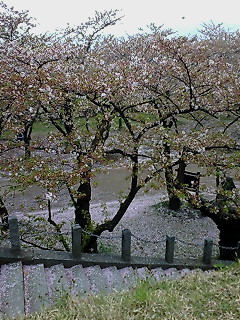 20100506152943.jpg
