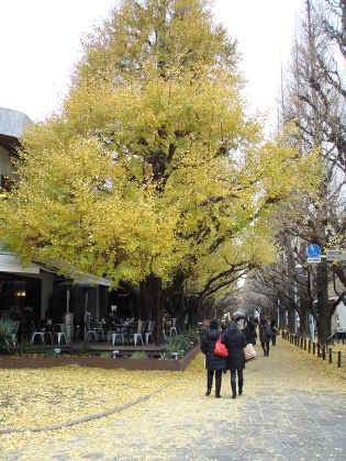 JO-1PC090326.JPG