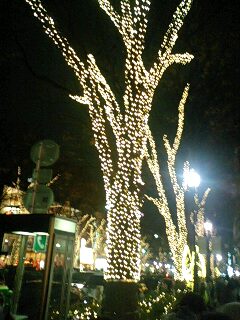 JO-2PA0_0095.JPG