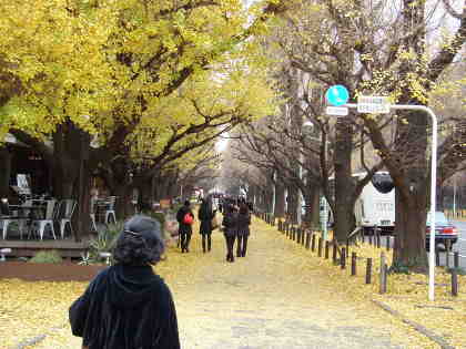 JO-2PC090327.JPG