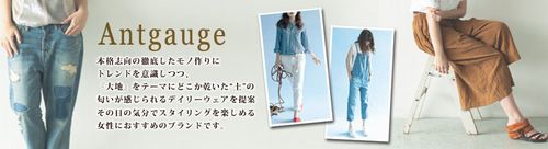 antgauge.jpg